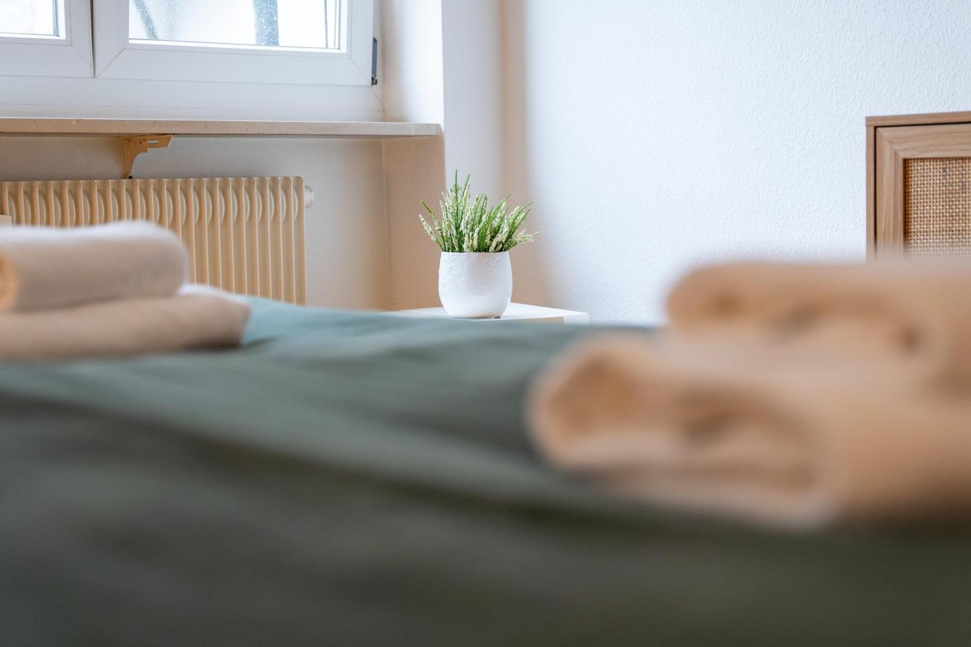 Gemuetliche Grosse Wohnung Naehe Uni บาเซิล ภายนอก รูปภาพ